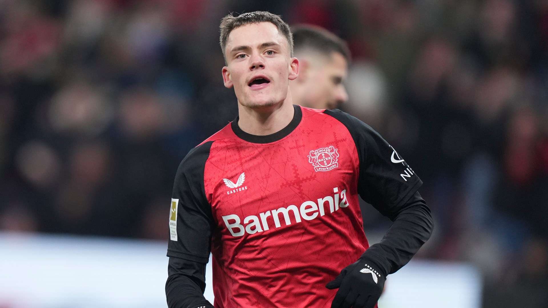 新加入的年 新加入的年